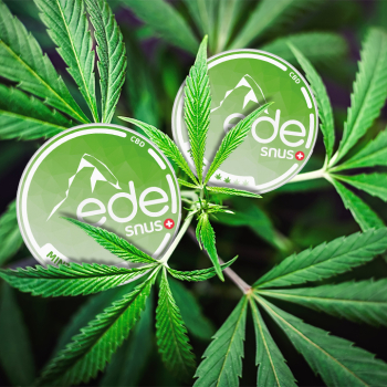 Edel All White Snus CBD