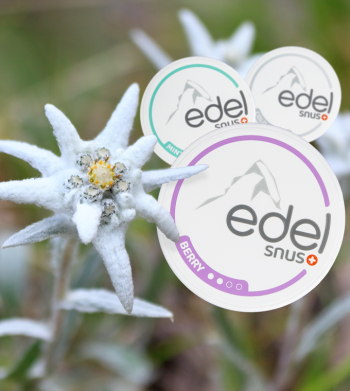 Edel Snus - ein Snus made in Switzerland: Neu bei Snushof!