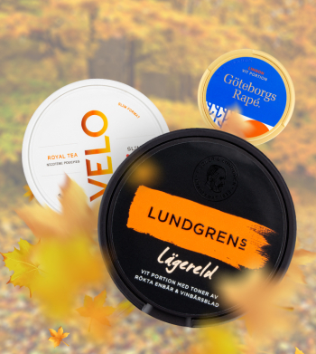 Fange dein Herbstfeeling mit den Snushof Top 5 Snus und Top 5 Nicotine Pouches!