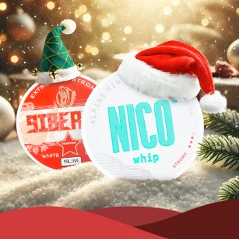 Jule Snus und Nicotine Pouches