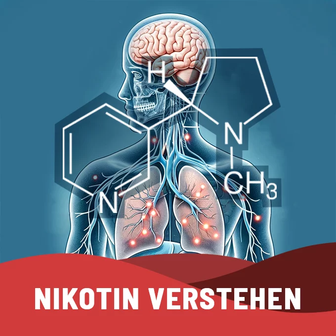 Nikotin verstehen