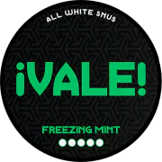 VALE Freezing Mint